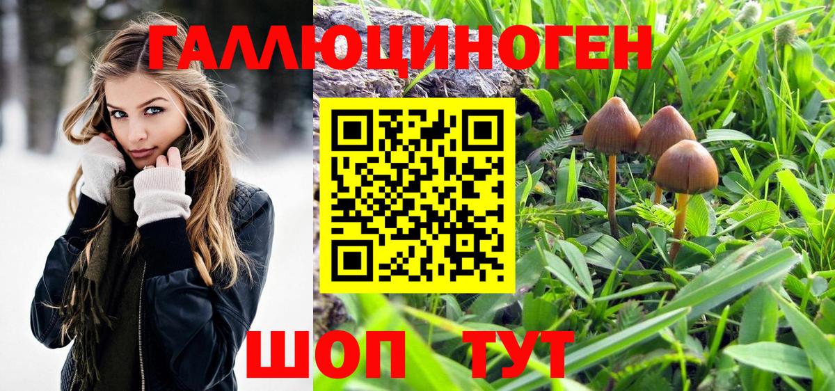 Псилоцибиновые грибы мицелий  продажа наркотиков  Бузулук  Вход с VPN 